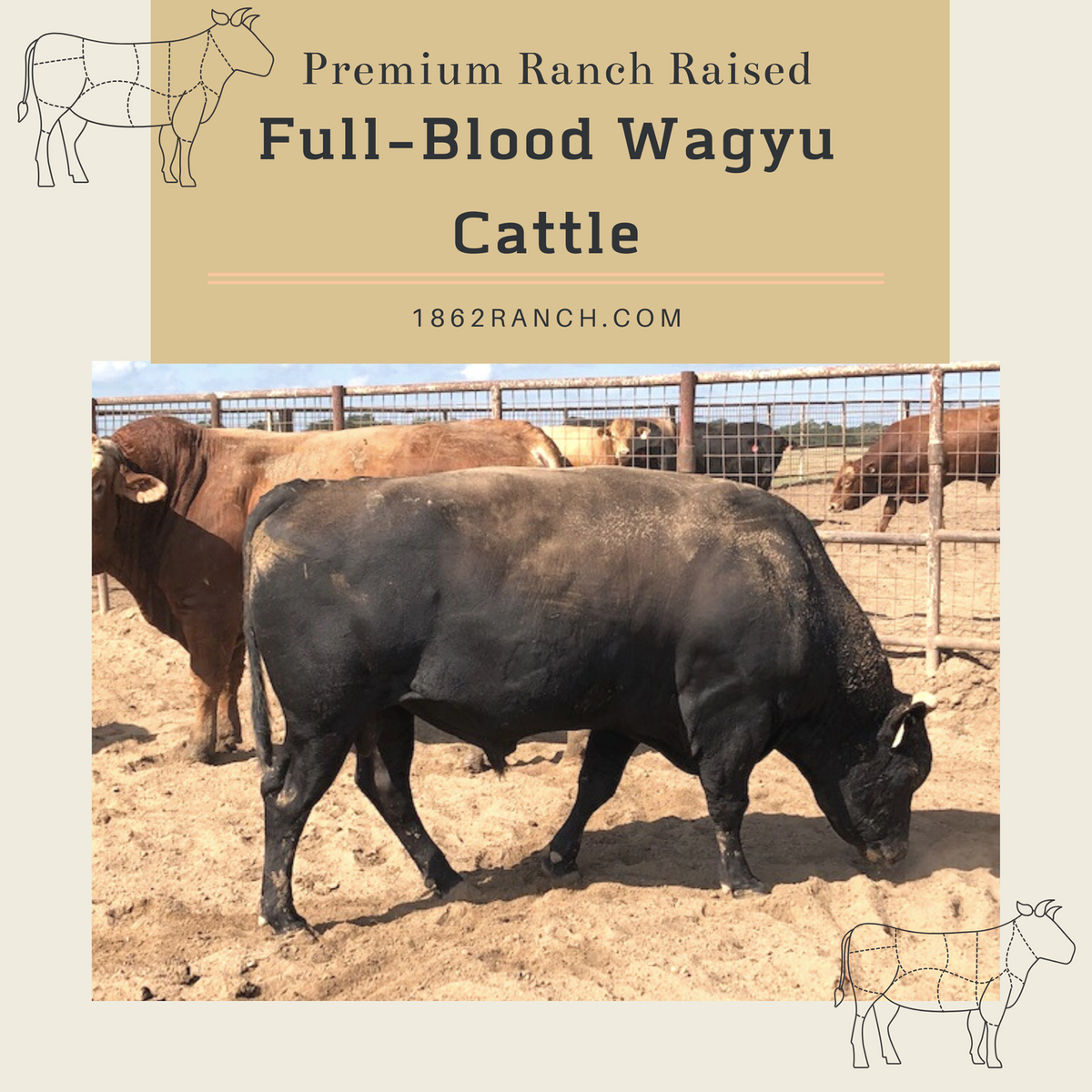 Women are the largest untapped reservoir of talent in the world.