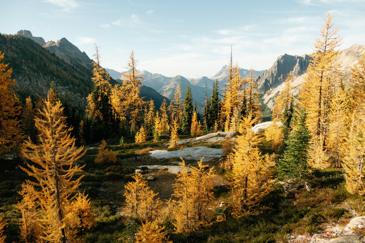 cutthroat_pass_north_cascades_national_park_washington_larch_hike_01