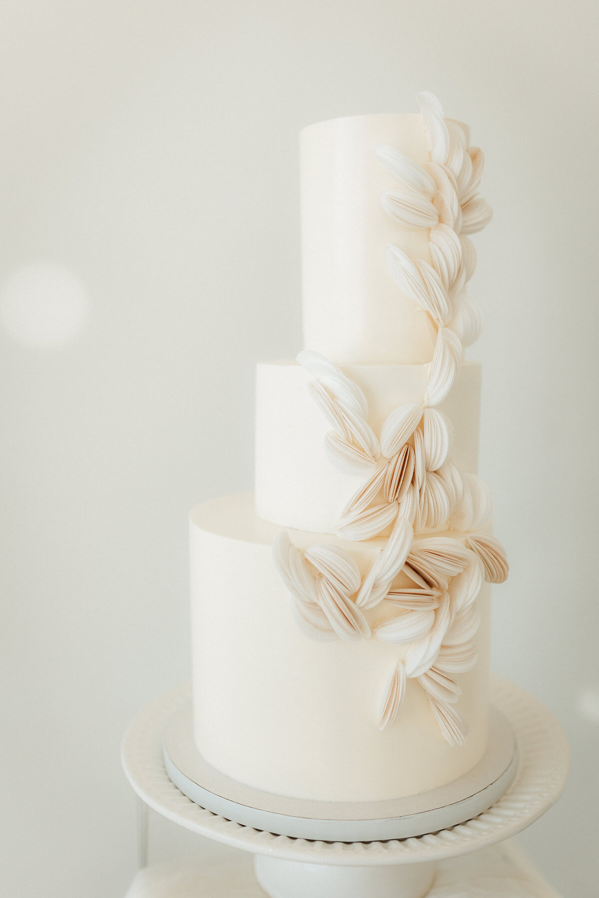 Upstate NY wedding photographer collective