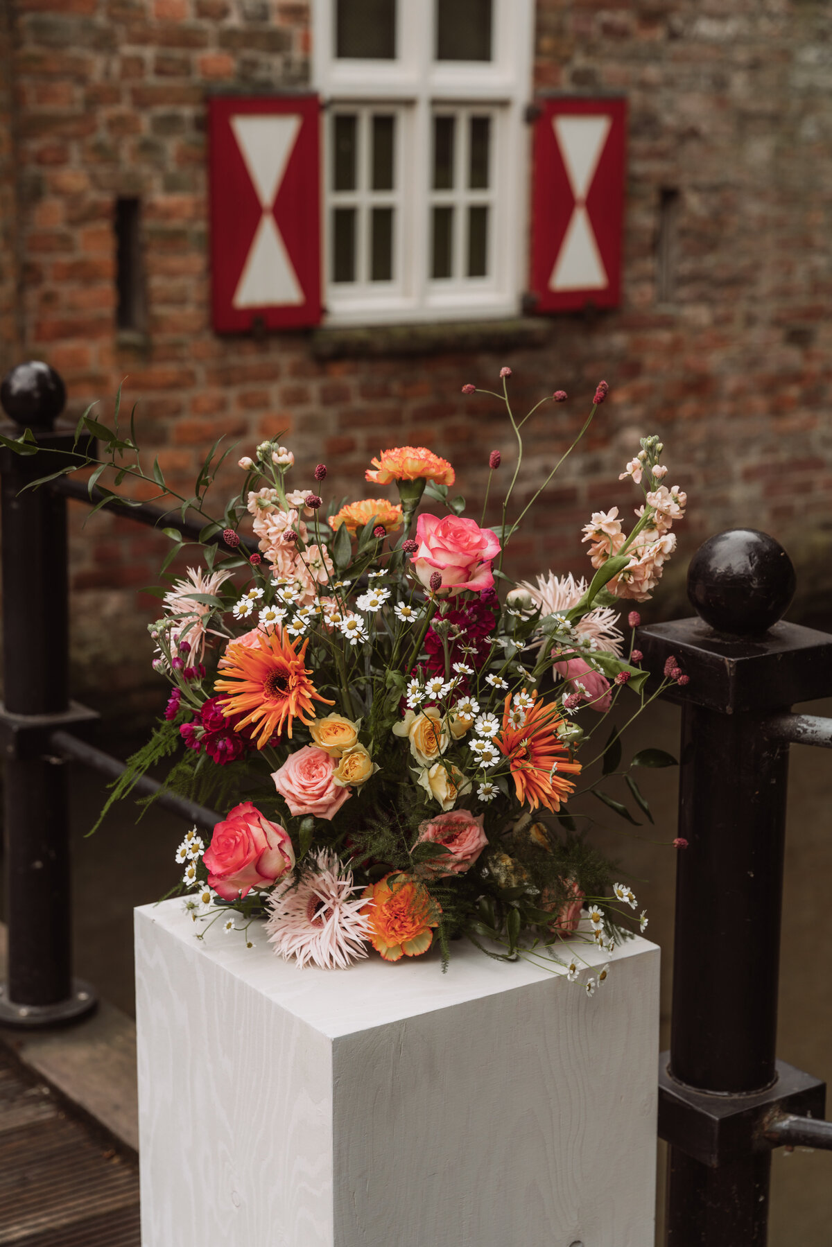 SVDWPhotography20240601_0073 2