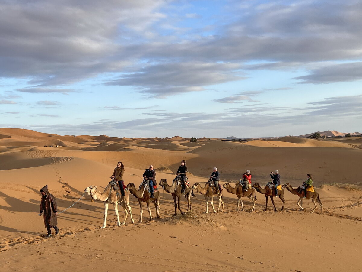 Sahara_Moroco_Camel