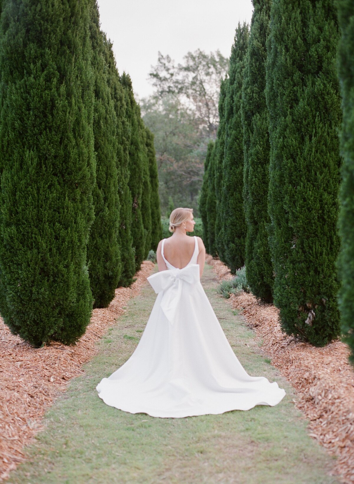 bride amongst the cypress trees