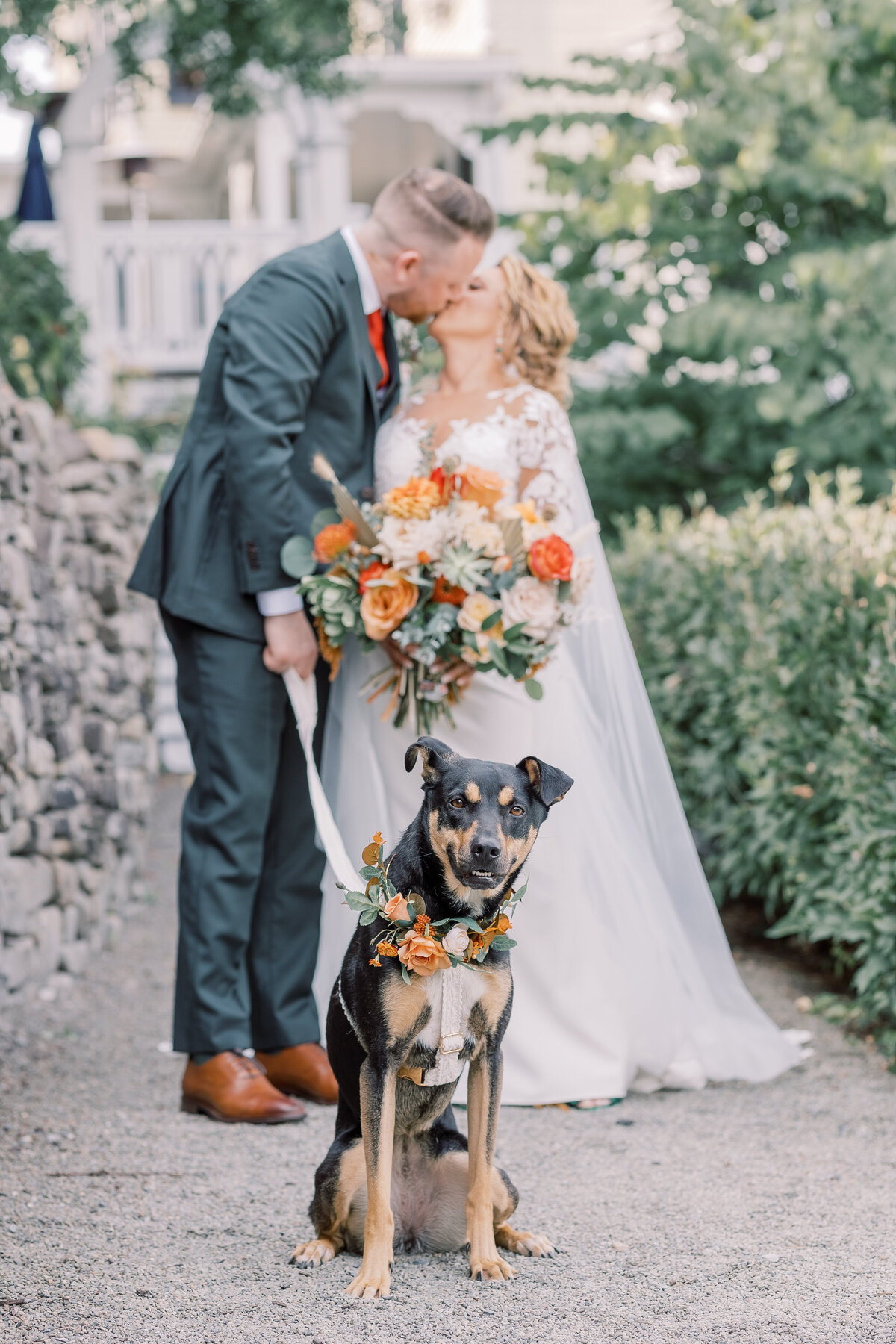Dog wearing a flower color smiles while his owners kiss behind her during their wedding near Taughannock State Park.