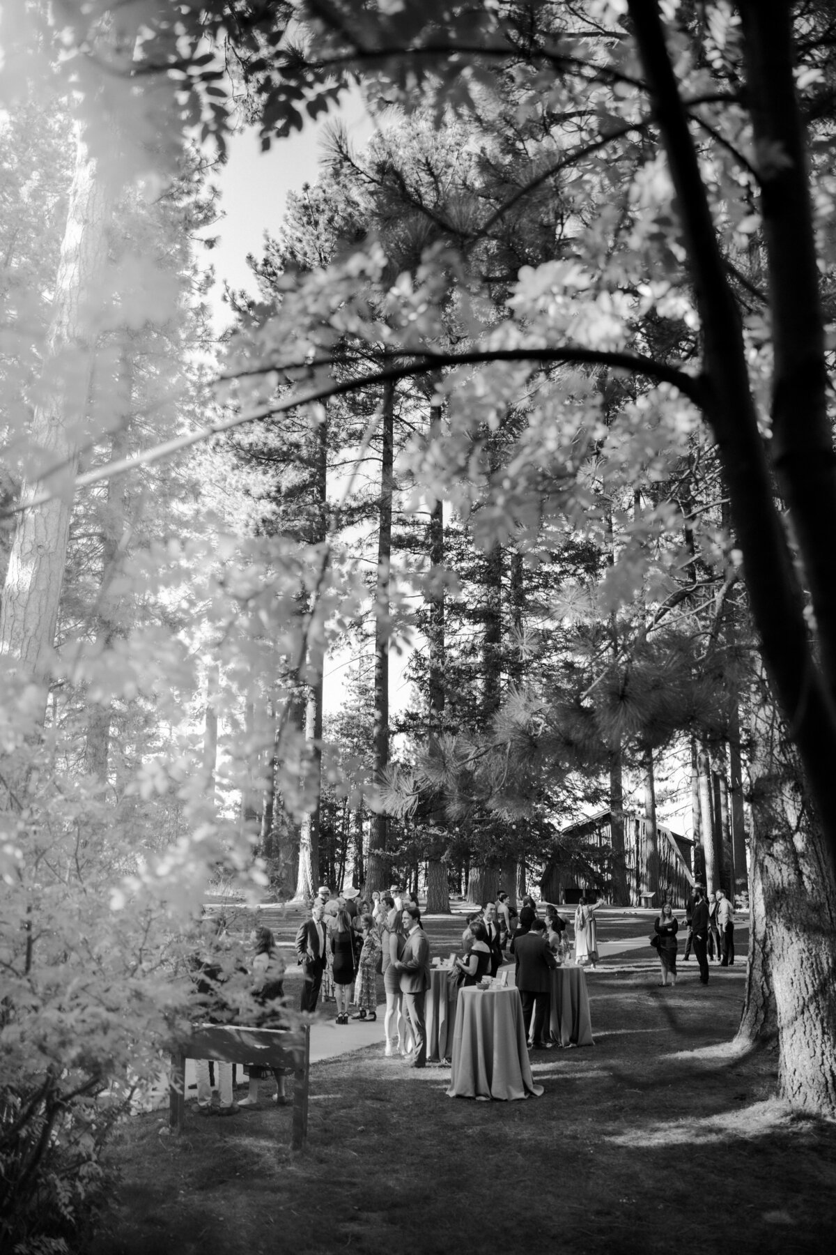 Abby + Mitch Valhalla Wedding Lake Tahoe _ Katherine Krakowski Lake Tahoe Reno Photographer-127