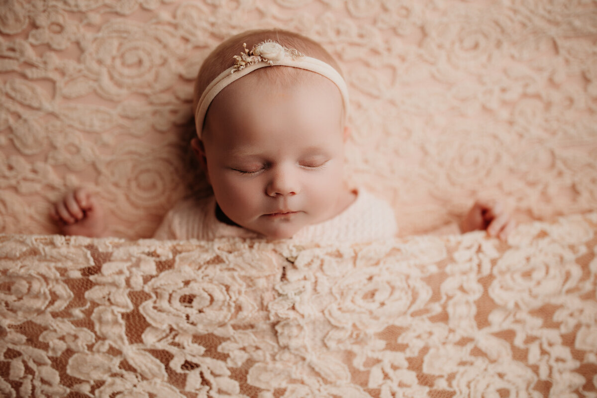 NW Arkansas family photographer, family portraits near me Northwest Arkansas, NWA newborn photography, maternity portrait studio NW Arkansas