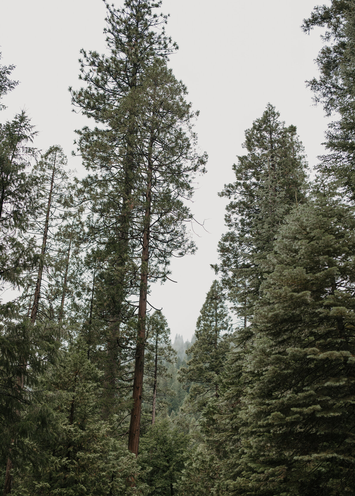 MountainTimePhotography-865