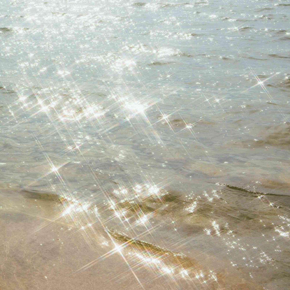 Soft light coloured reeds against a light blue sky
