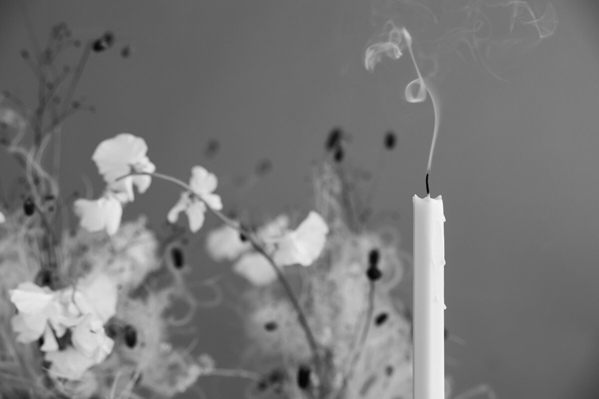 Plume-21