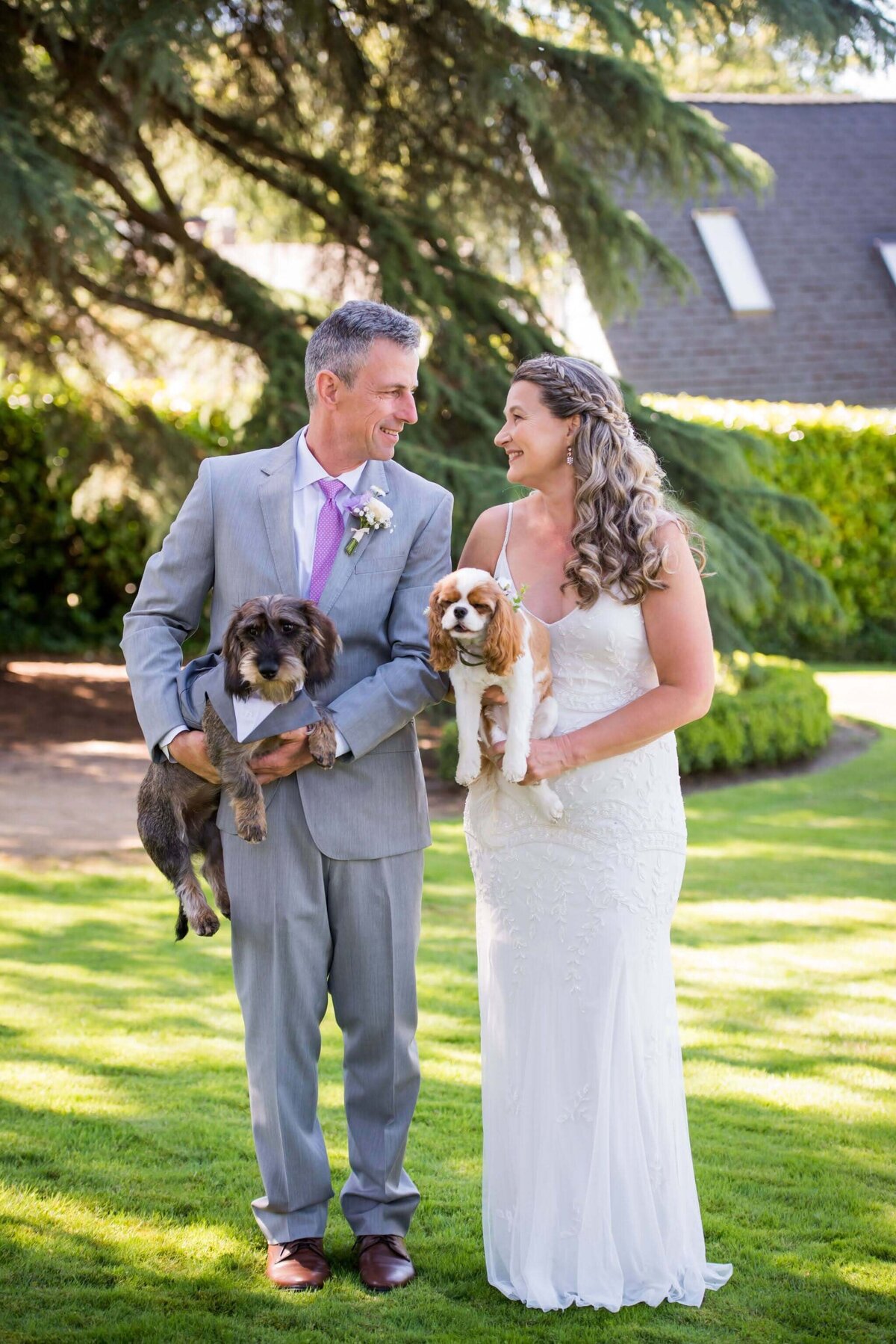 Bride and groom and their dogs in their arms.