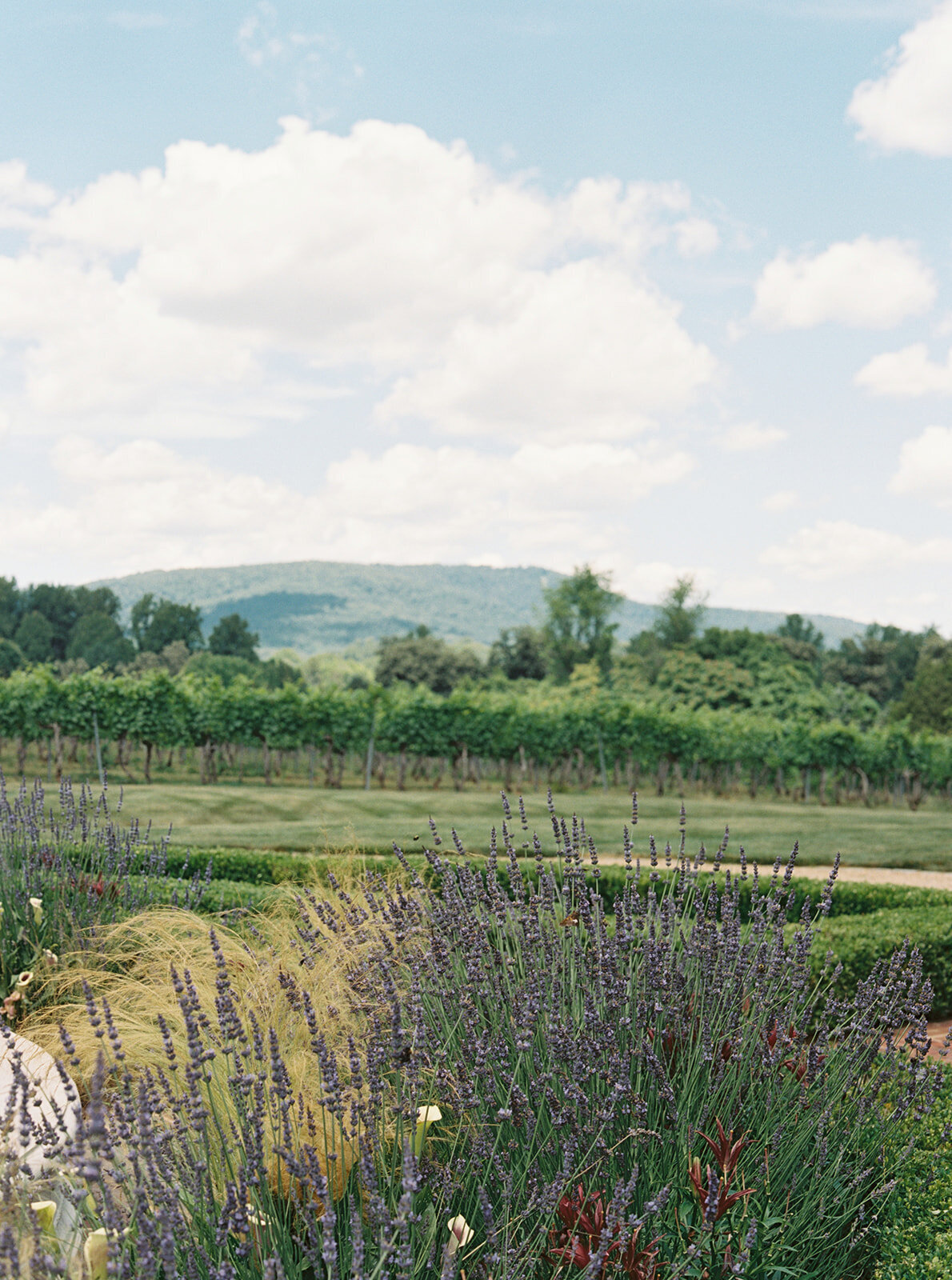 Virginia Wedding Photographer Natalie Jayne Photography-09-4