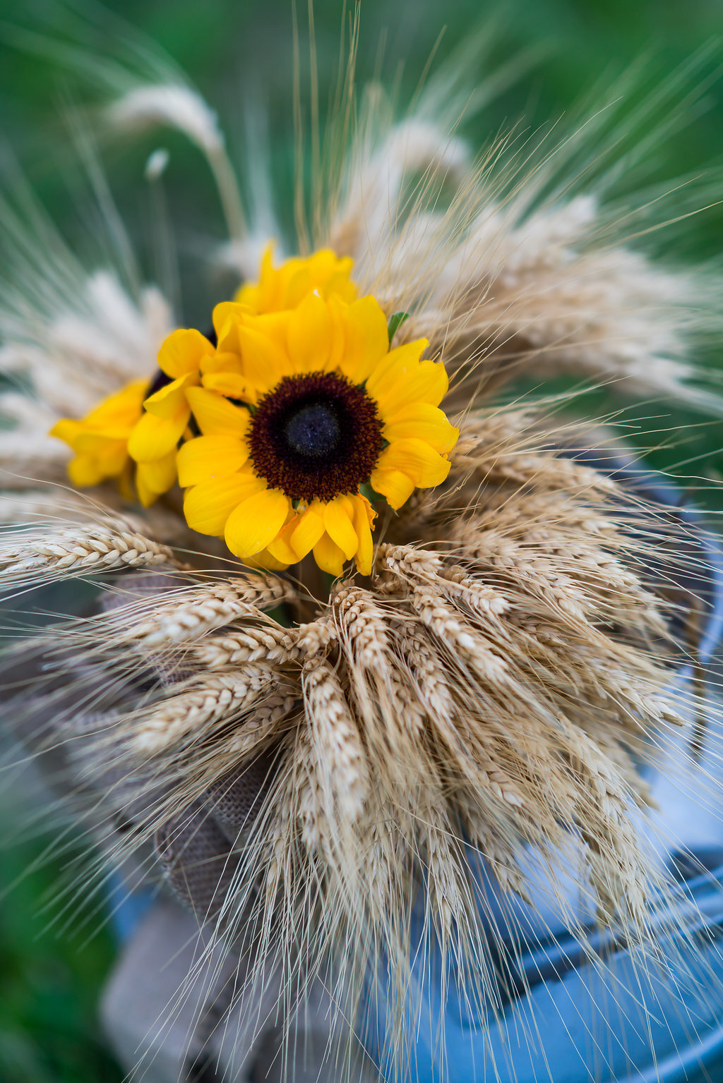 SteffanieHansPaulWedding(111)