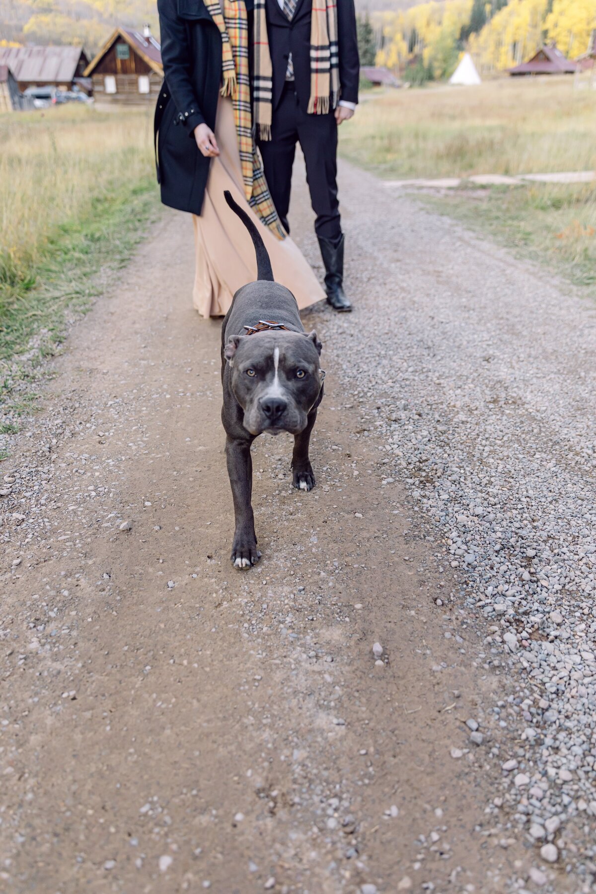 AbieLivesayPhotography-DuntonHotSpringsPhotographer-ElizabethCHristopher-Preview-77