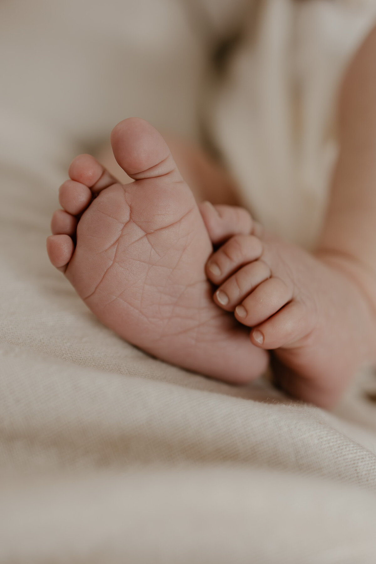 Fotograaf Mechelen Newborn-2
