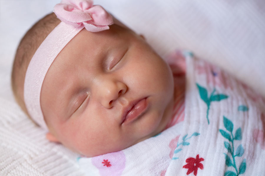 Hudson Valley Newborn Photography