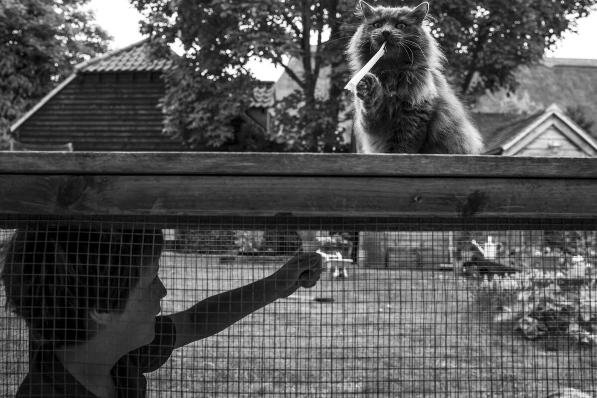 best-family-photographer-documentary-UK-England-London-Cambridge031