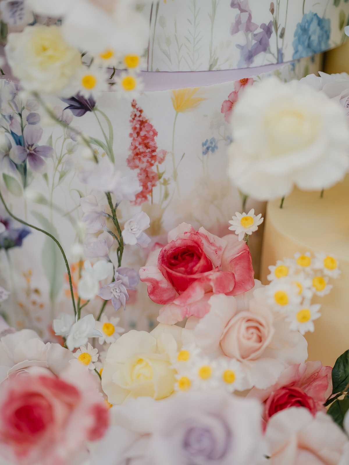 9666400516.jpg_exif1 2