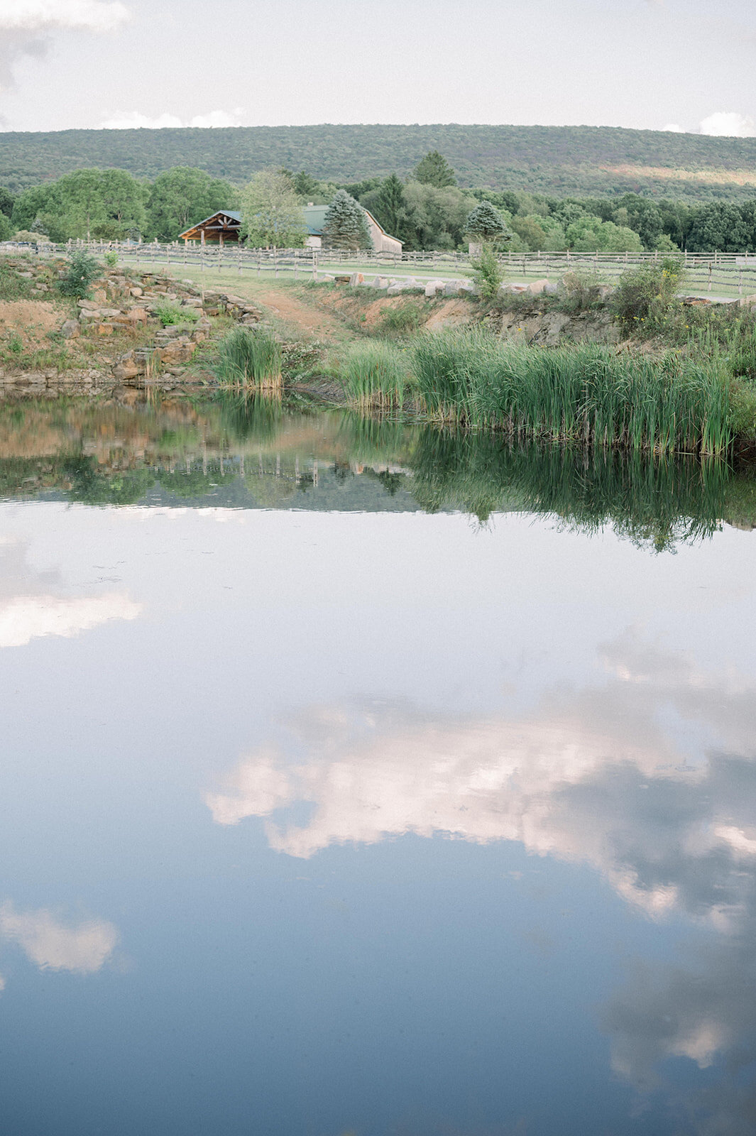 carmen_may_photography_pinerock_farm_pa-88
