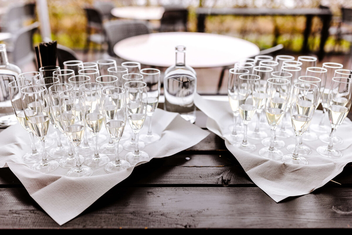 Nordic Destination Wedding Planner_93