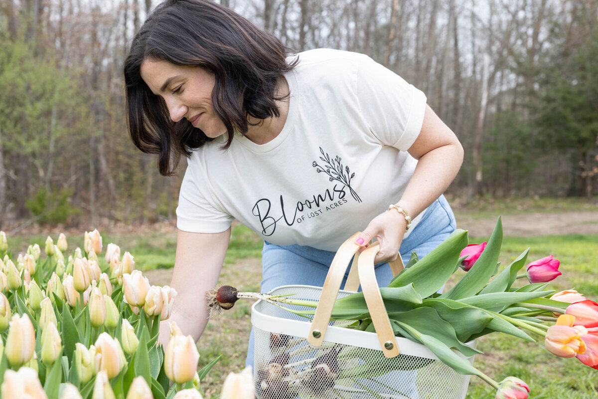 blooms of lost acres_spring pyo branding_2024-2