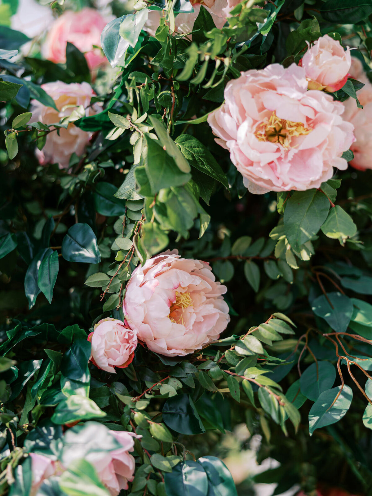 bellerieve-country-club-wedding-088