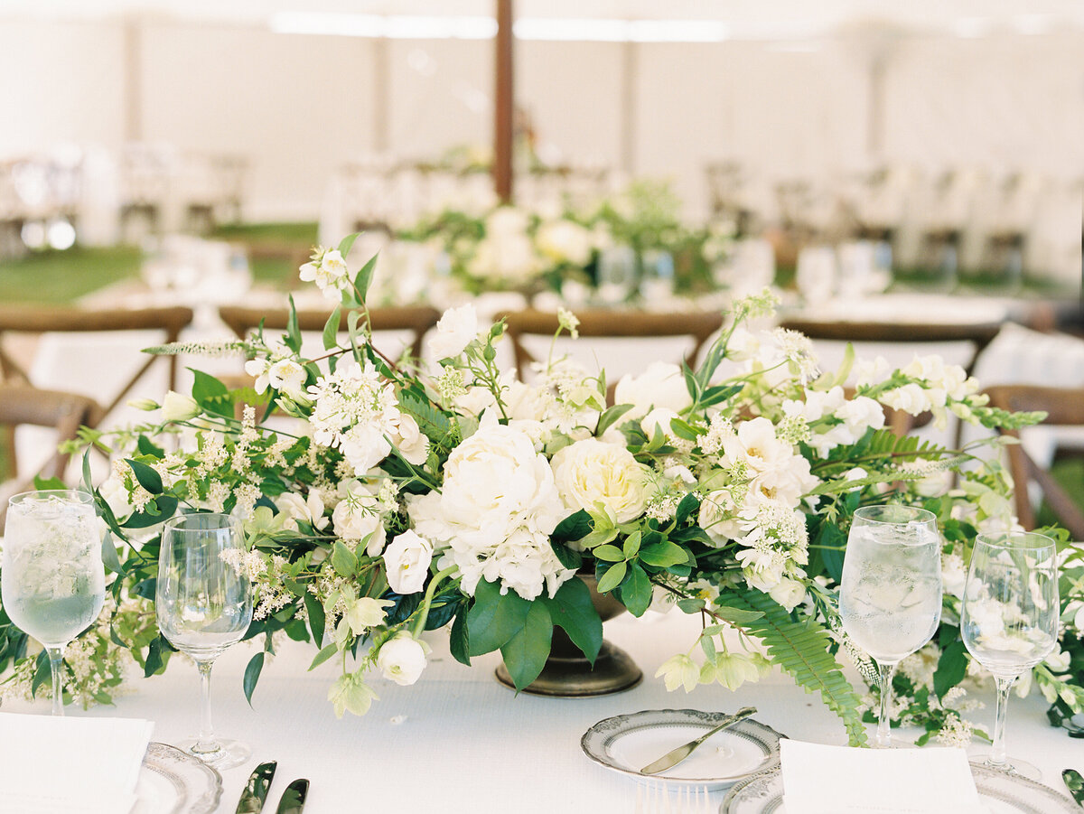 nrp-olivia-aliwalkerwed-4117