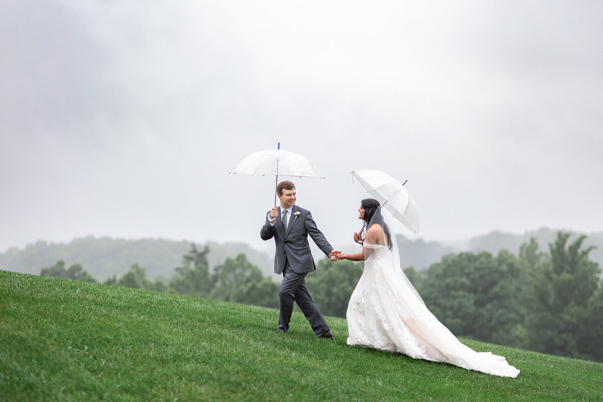 Priya and Andrew_Sneak Peek-7554