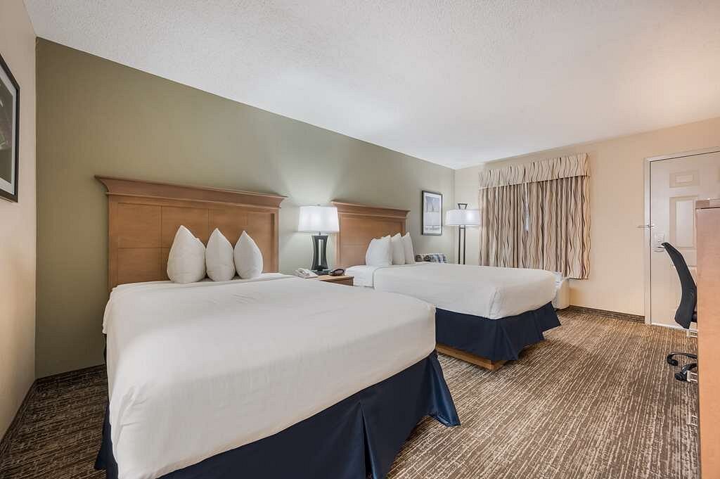 Hotel double queen guest room with dark blue bed skirts