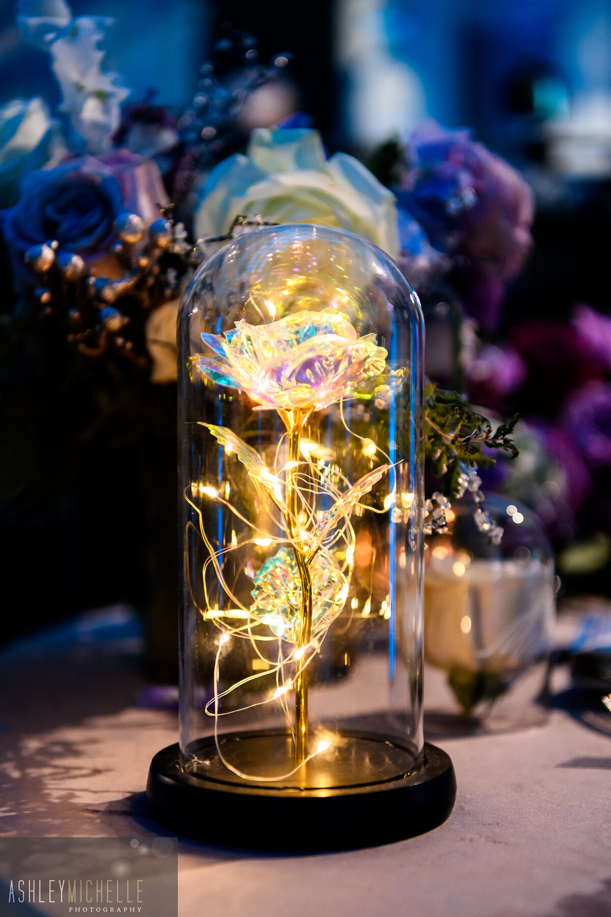 Heidi & Nick-Ashley Michelle Photography-104