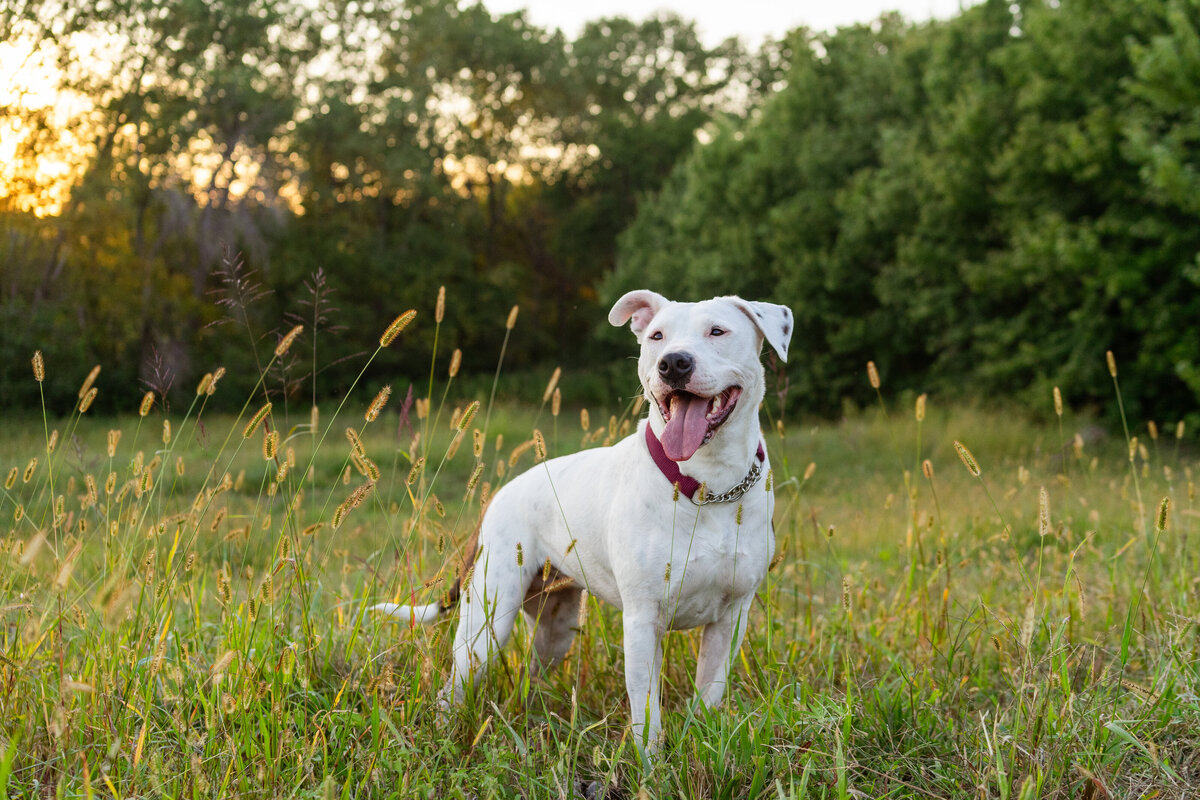 Michelle and Asher family photos (40 of 83)