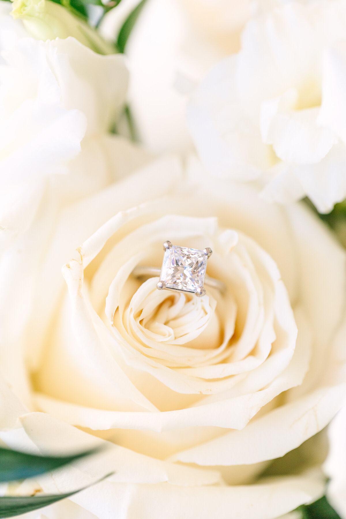 Wedding bridal party photos at wedding at Carmel Mountain Ranch Estate in San Diego, CA