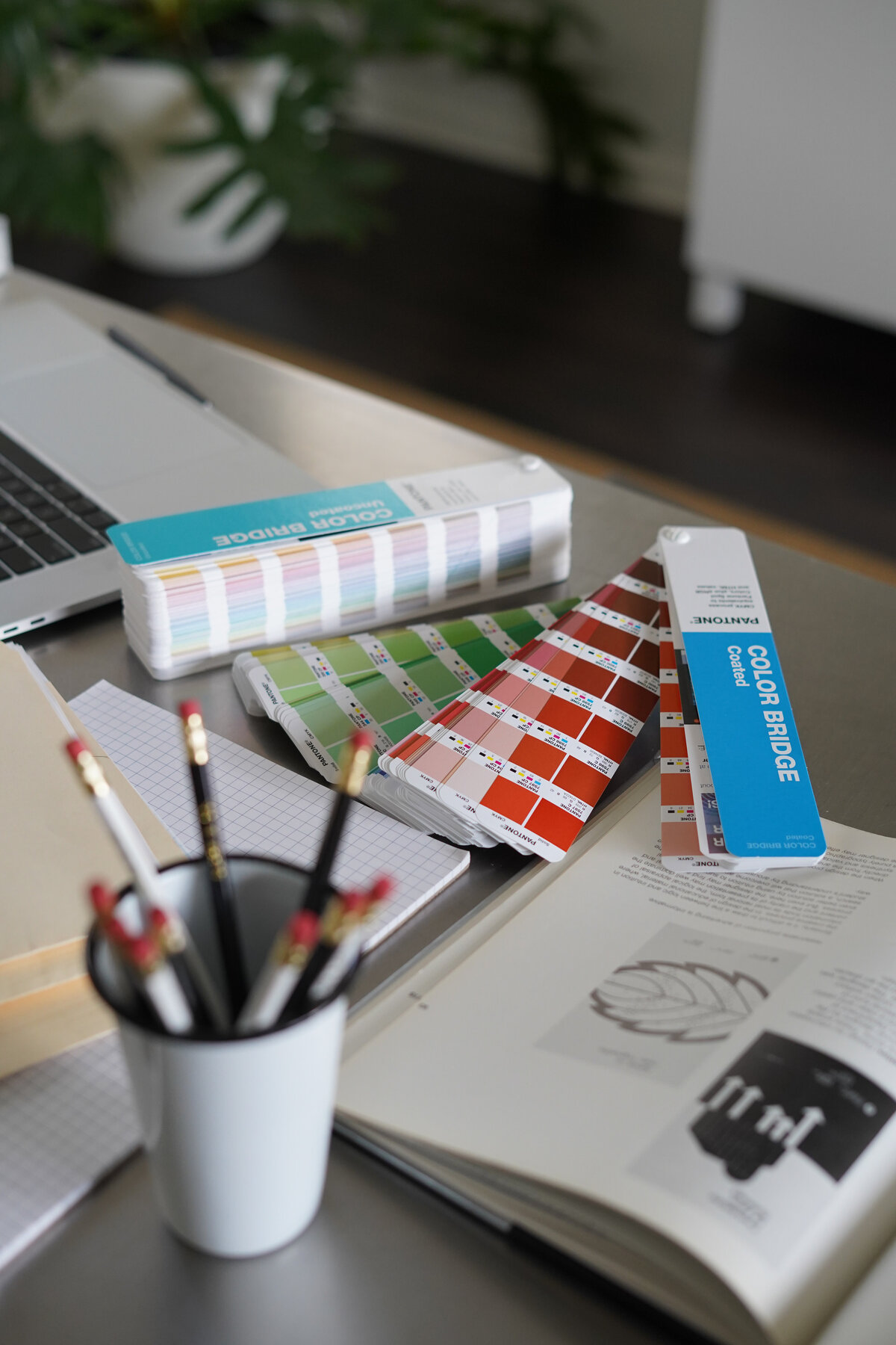 Designer swatches, paper, laptop