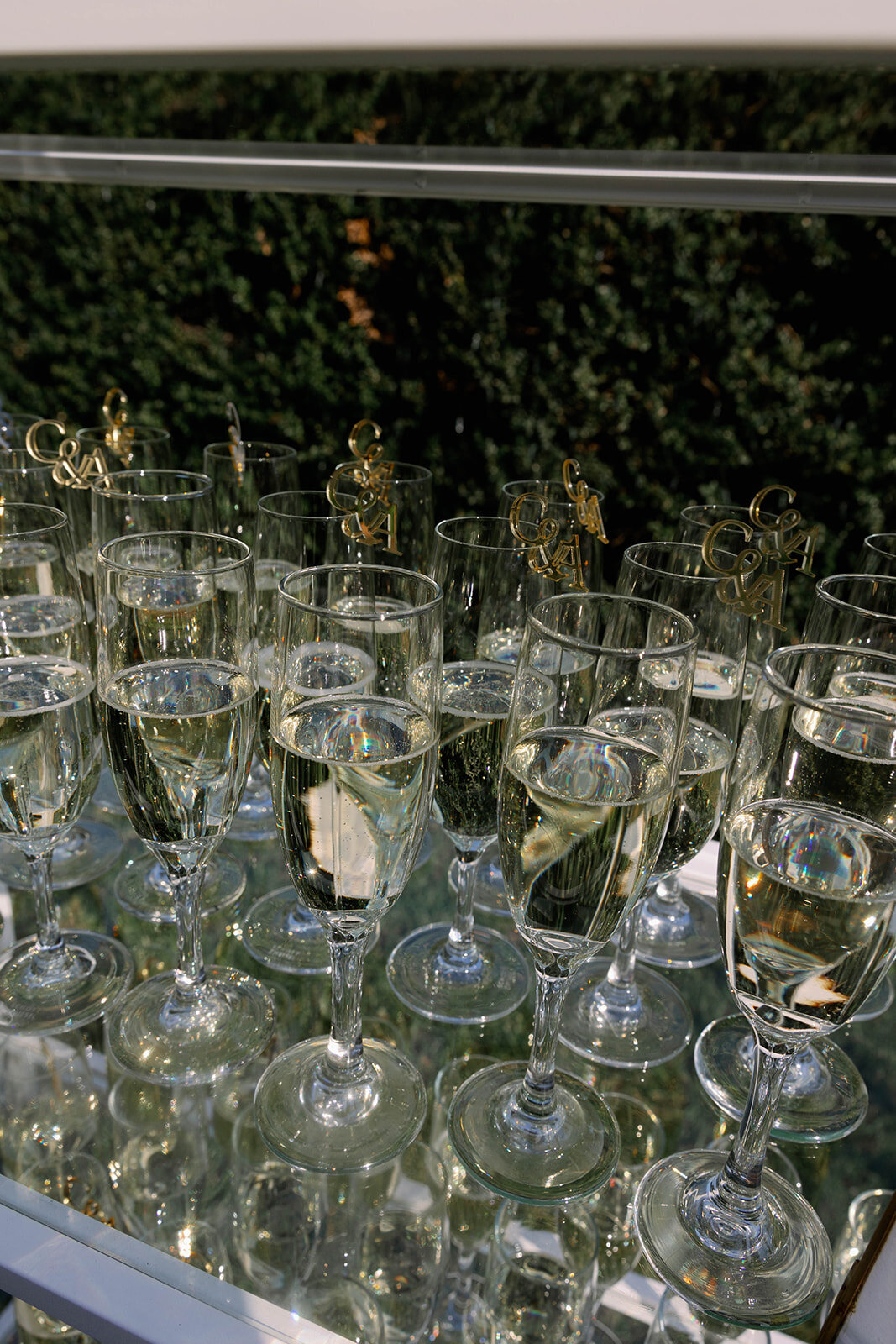 jackiesteele-98_websize