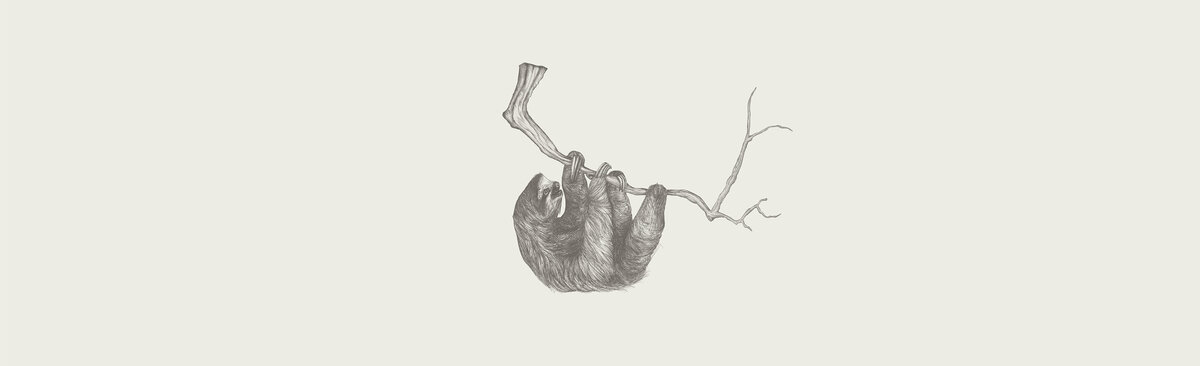 BEHANCE-JUNGLE5