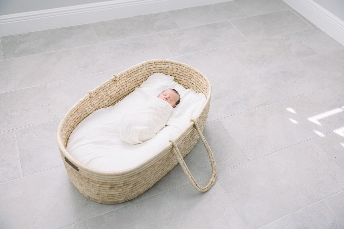 Newborn in moses basket for Tampa newborn photographer Tina Marie Studio.
