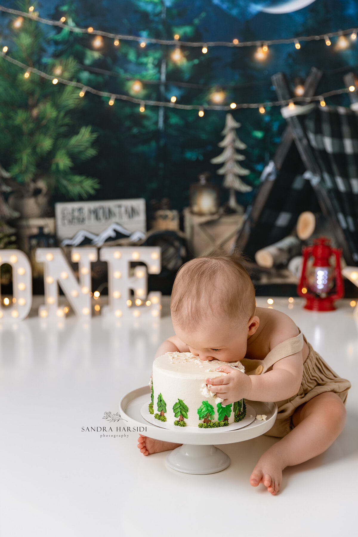 baby boy smash the cake in Coquitlam