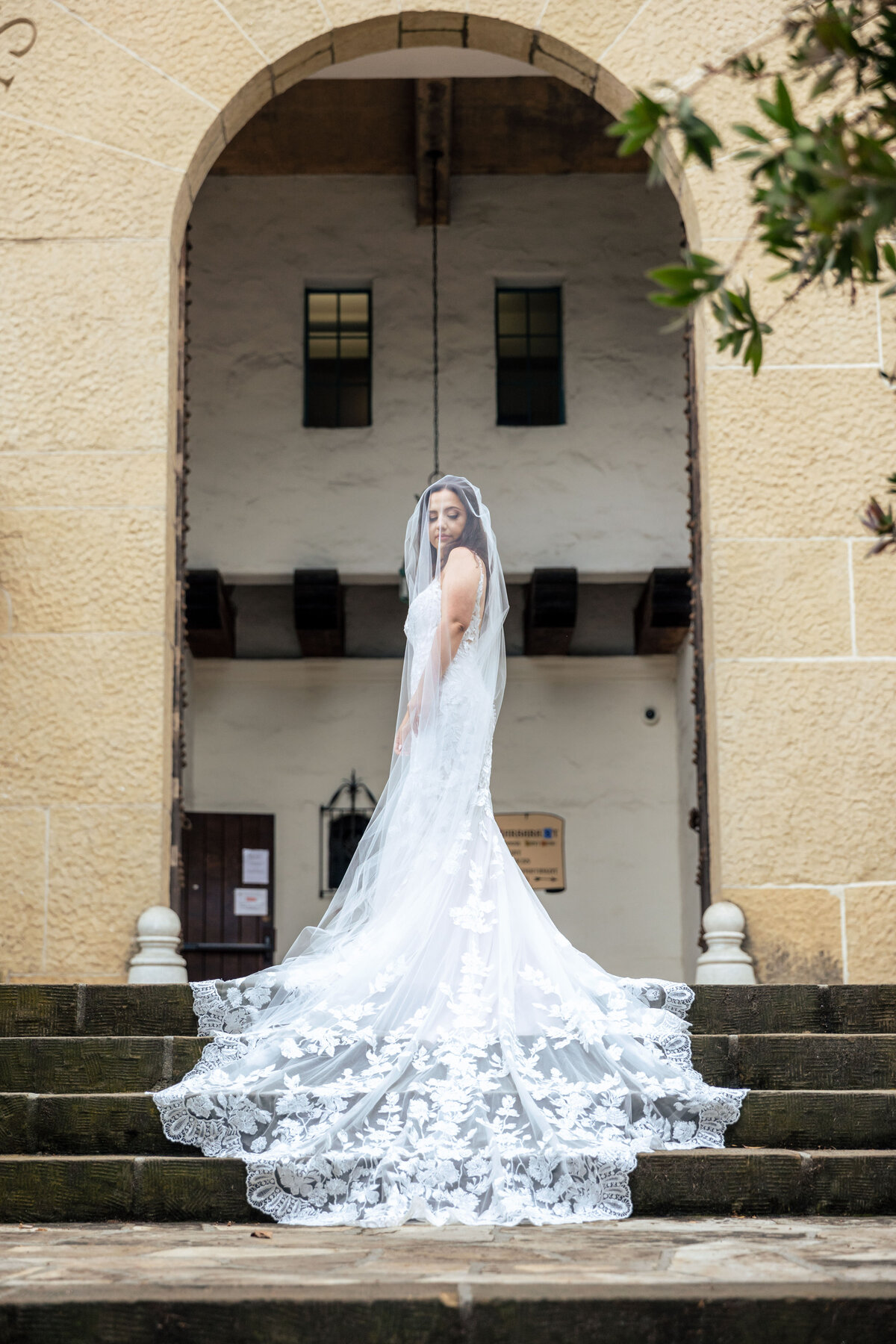 Romantics(83of386)