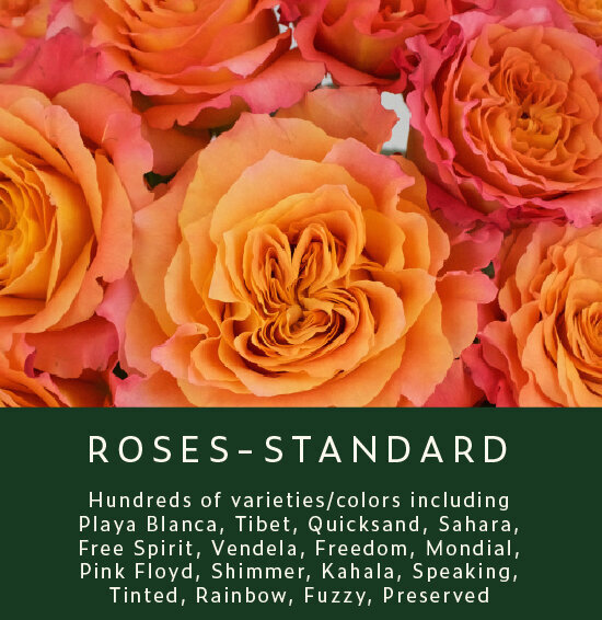 Roses-Standard