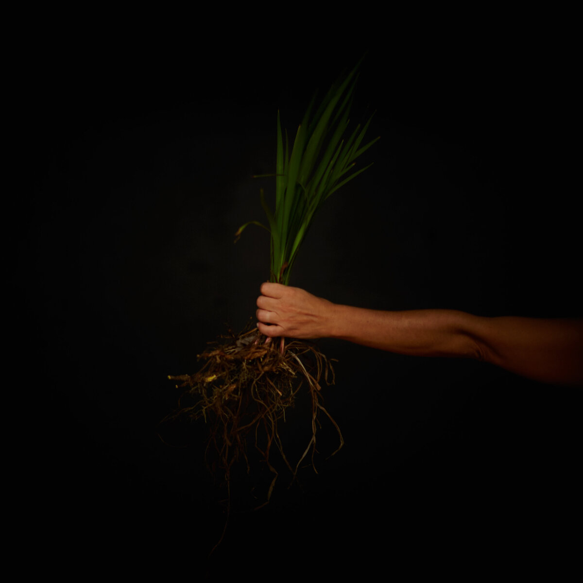 20151006___MG_5538