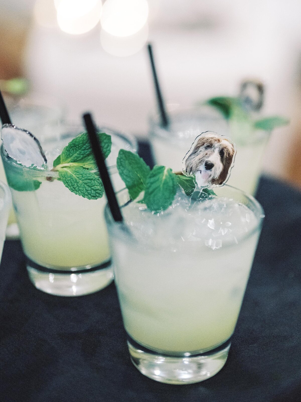 dog-drink-stirrer-wedding-signature-drink