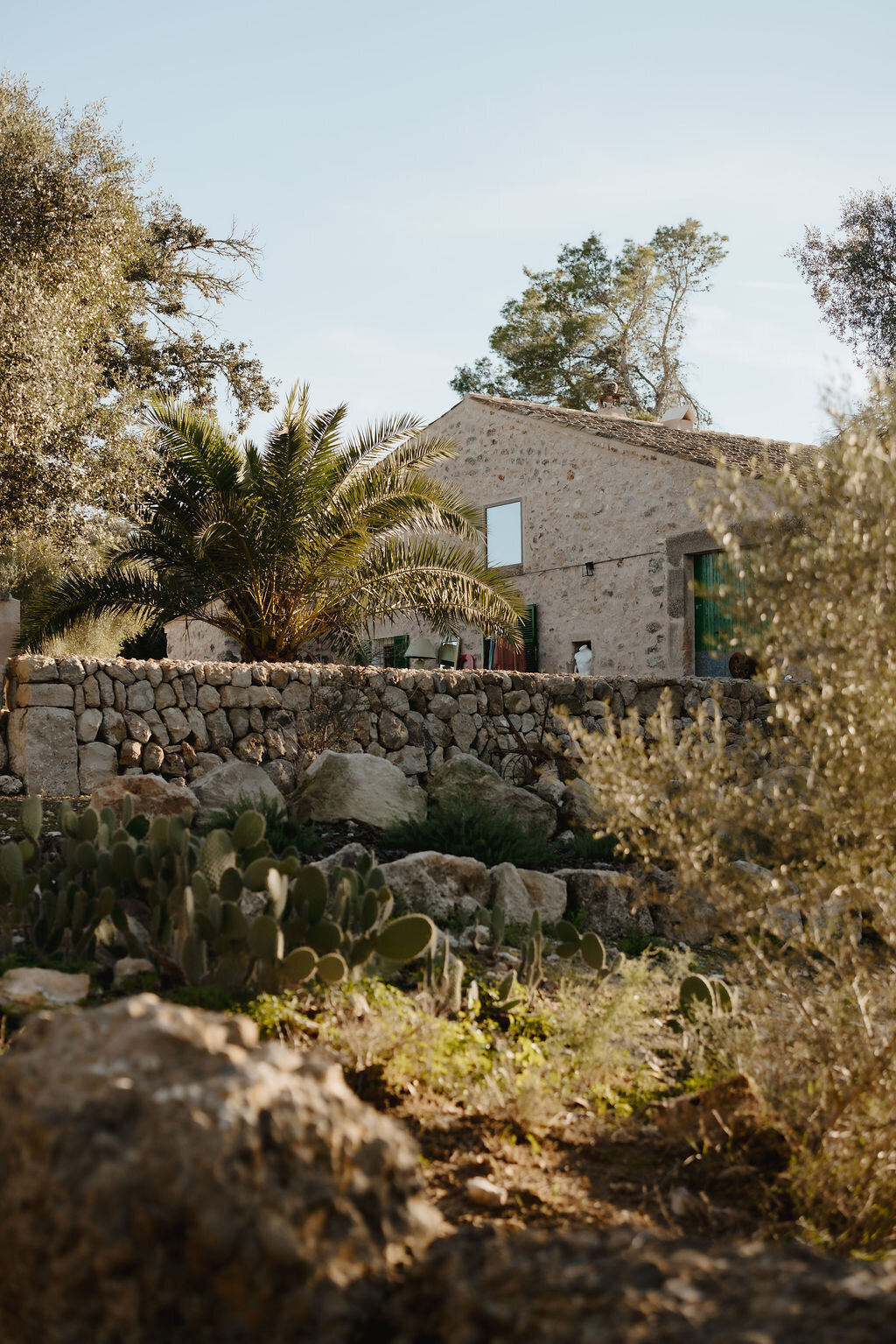 THE AWAKENING ° MIMI FIEDLER  ° THIRTYTWO