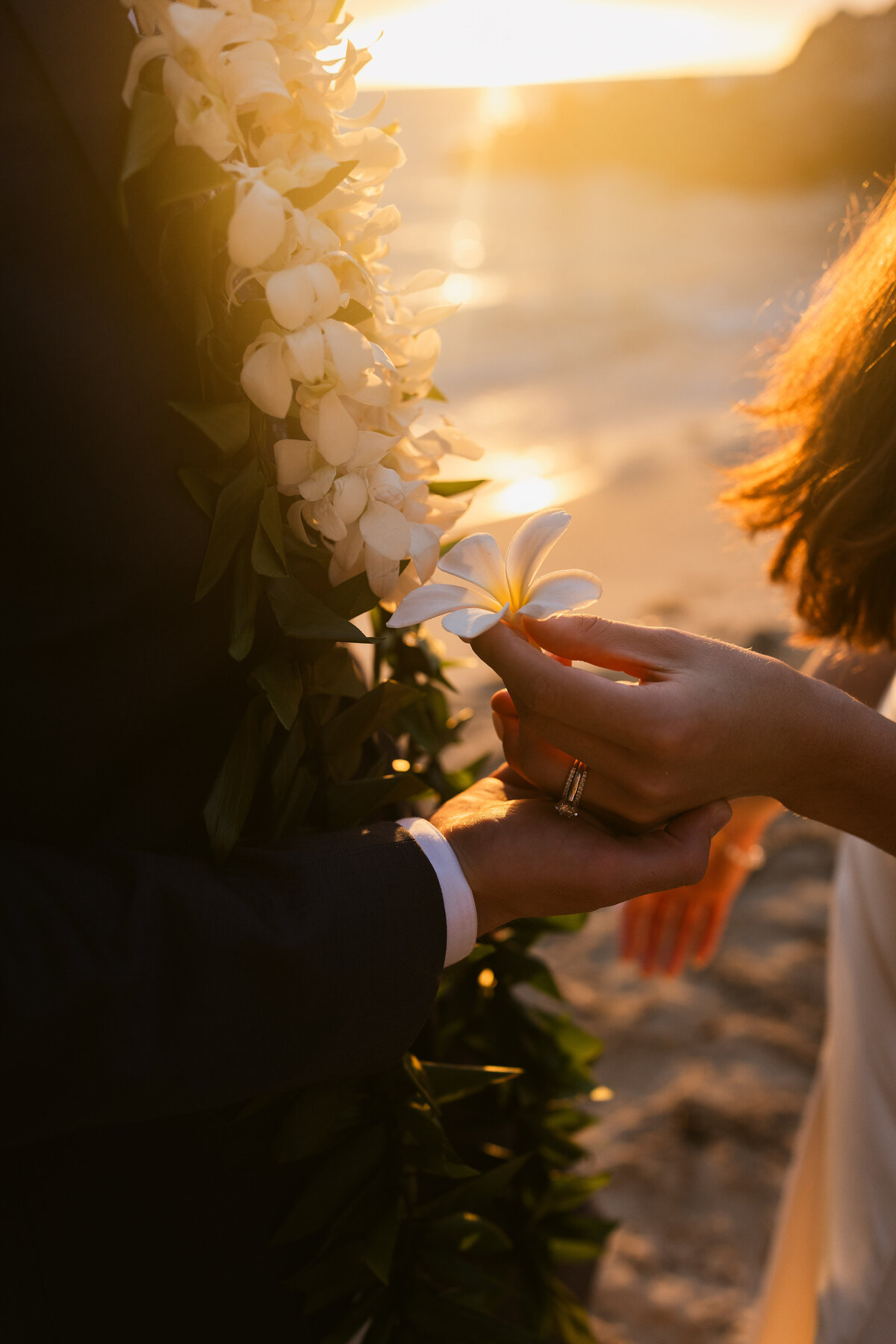 LexiJake Wedding_Lauren New Photography-483