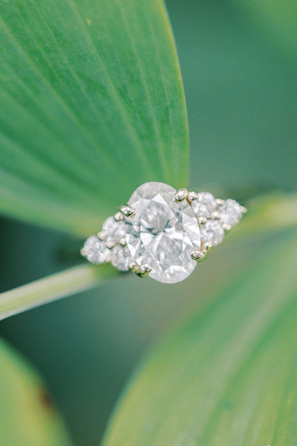 Diamond engagement ring in oval shape against green leaves