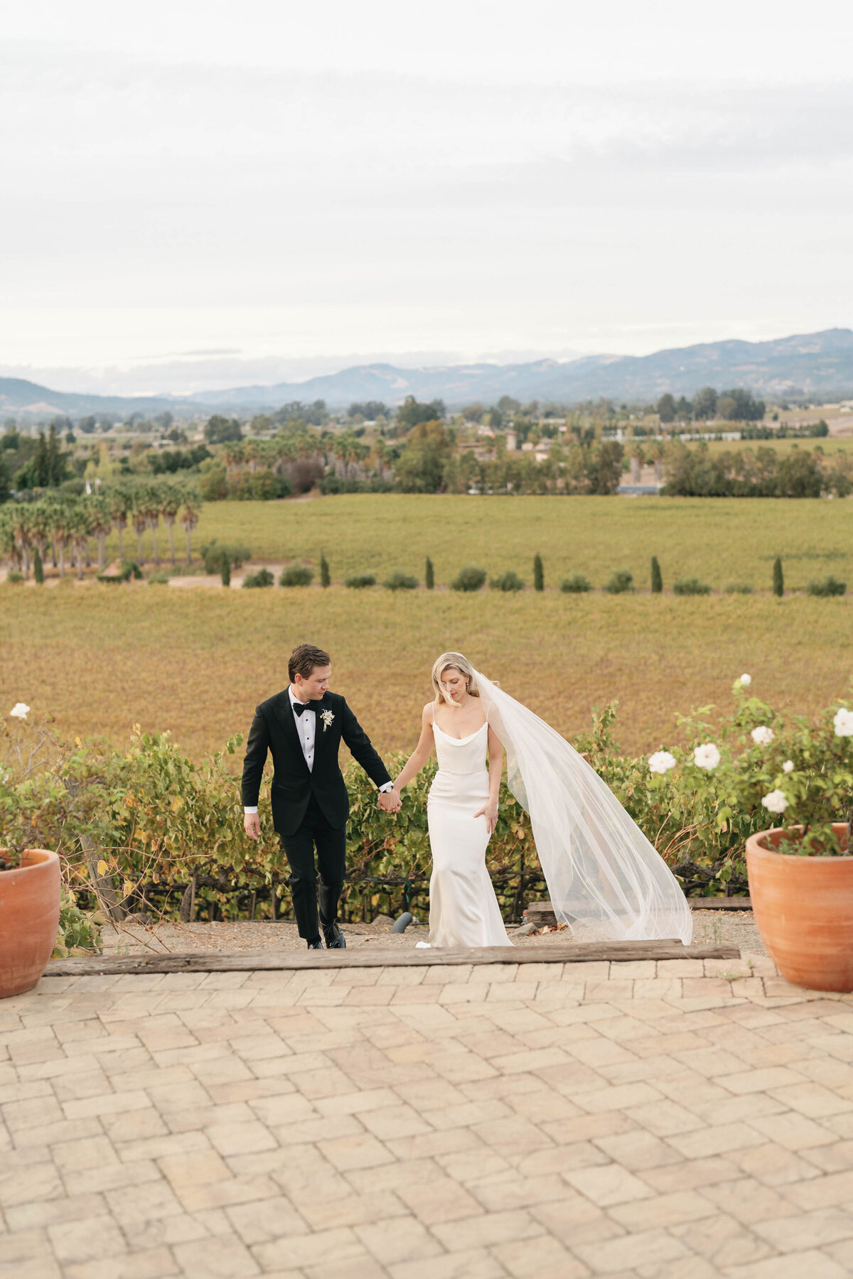 Viansa-Sonoma-Wedding-87