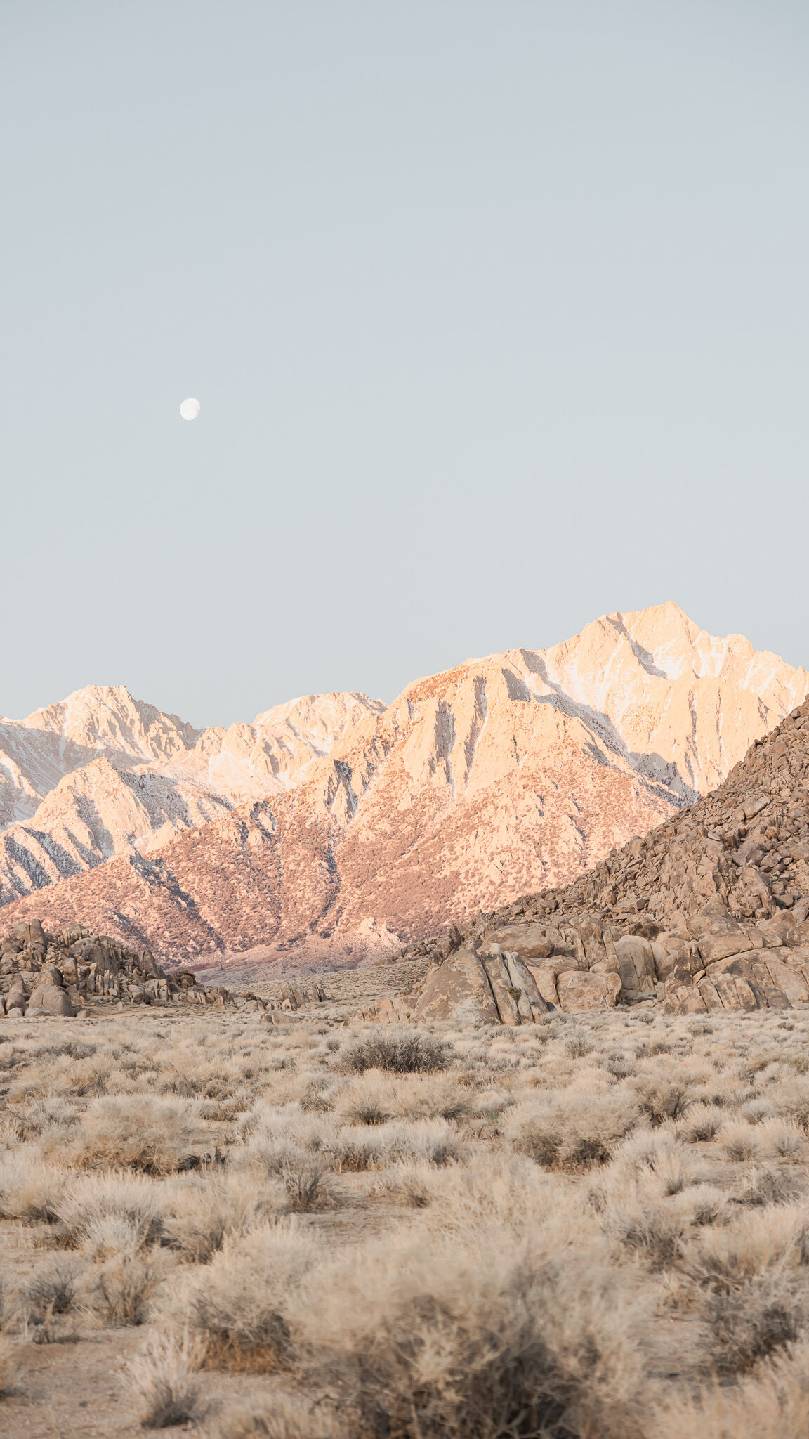 RewildMother_KaleighElizaPhoto-0437
