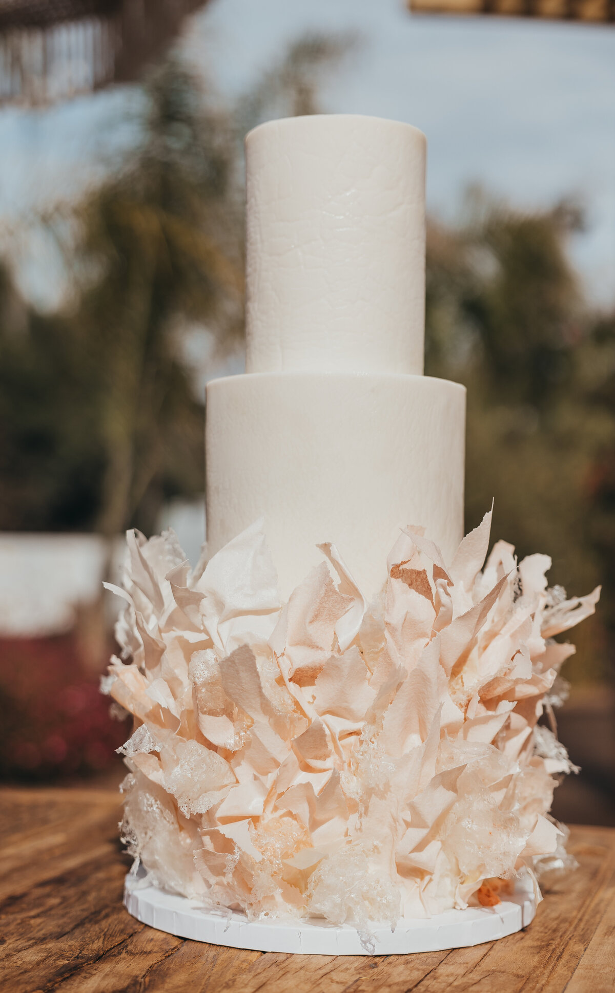 JJMT Photography_-382
