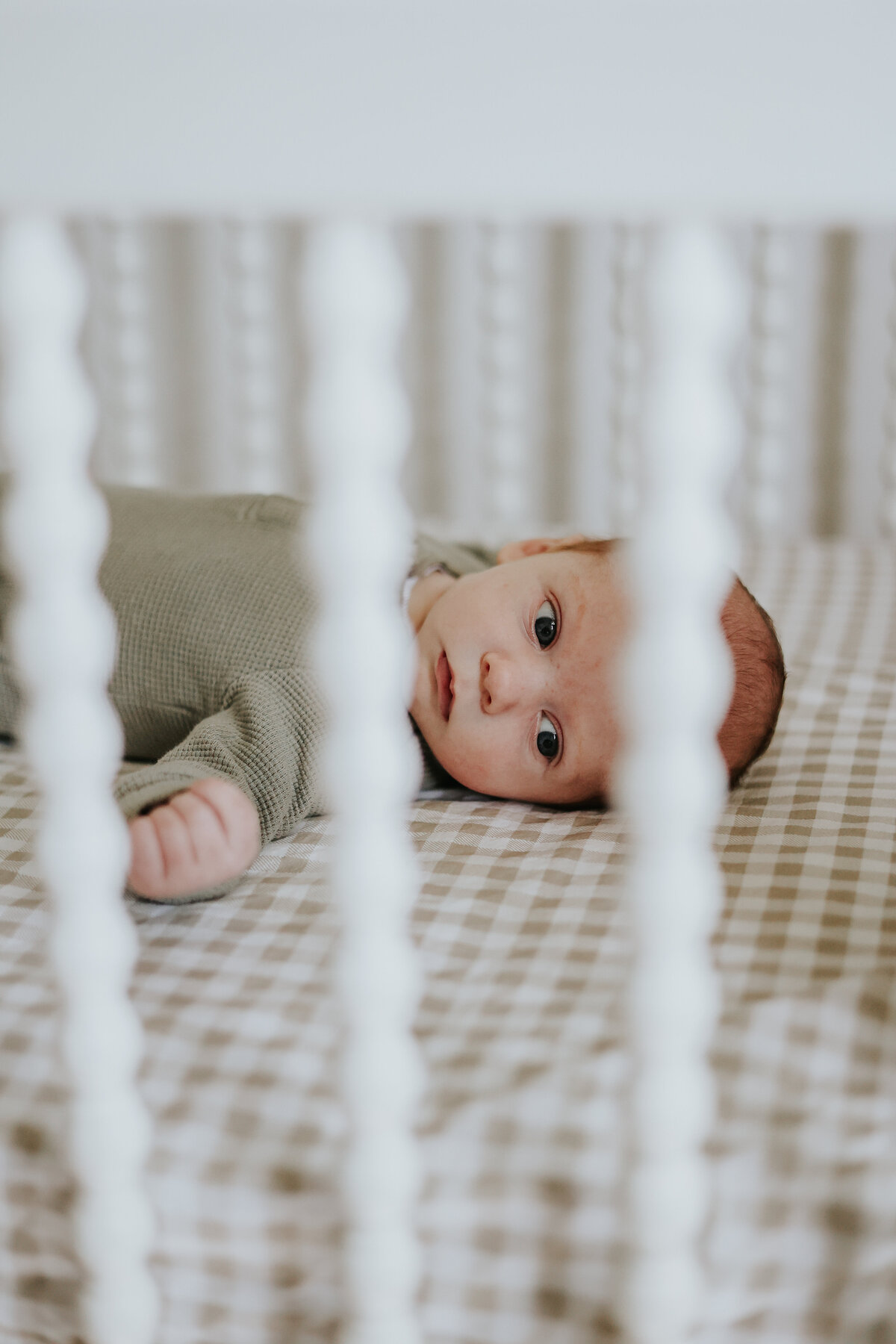 newborn-family-baby-photographer-forbes-nsw  (5)