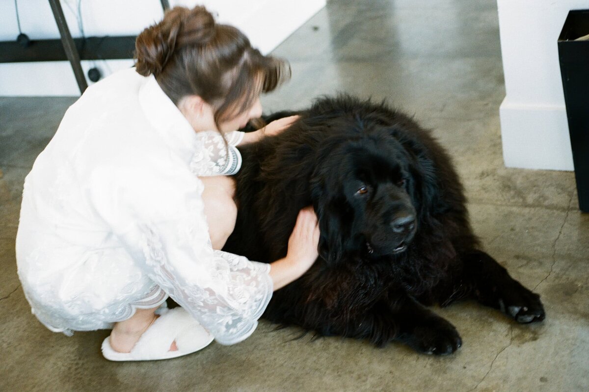 bride and her big pup getting ready at the wythe hotel