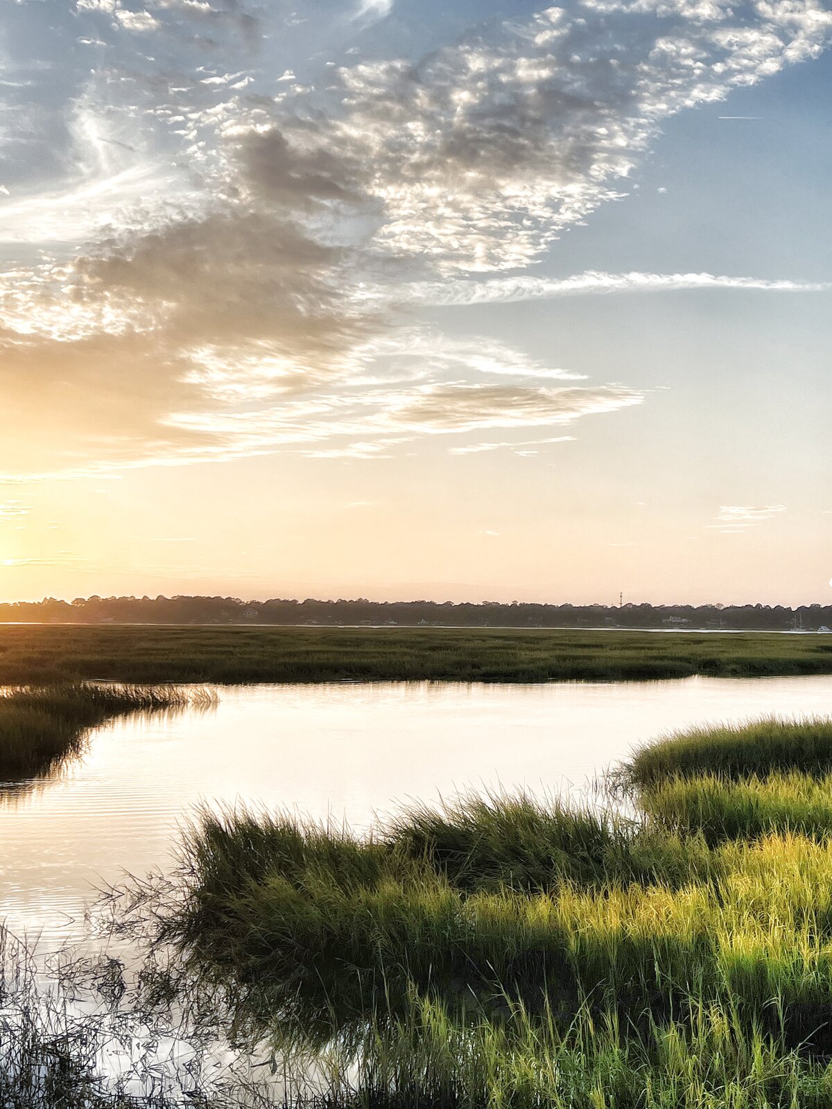 MARSH