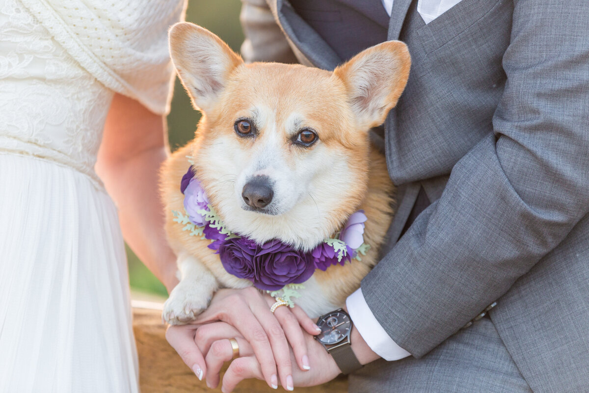 wedding_2-2