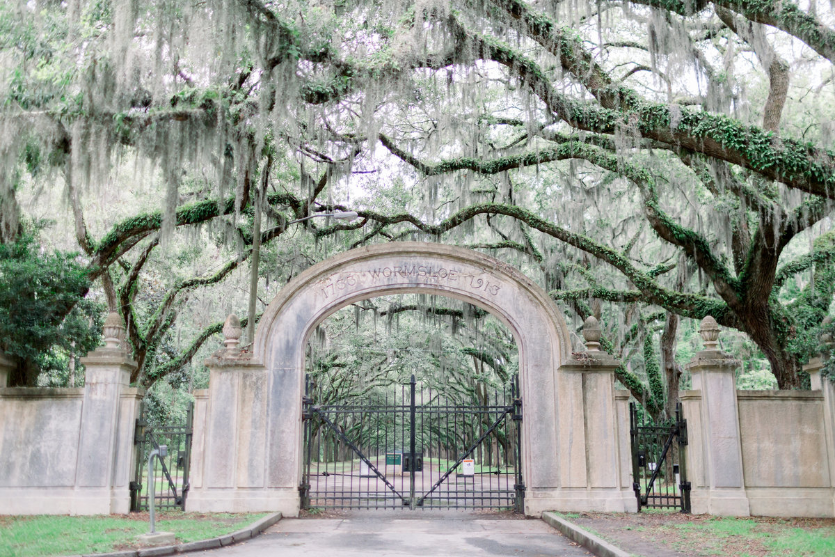 wormsloe historic site, isle of hope, georgia